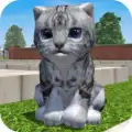 Cute Pocket Cat 3D - Part 2