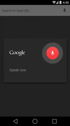 Chrome Canary скриншот 2